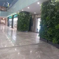 راهنمایی میخام