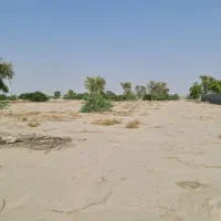 فروش زمین  حسن لنگی|فروش زمین و ملک کلنگی|شمیل, |دیوار