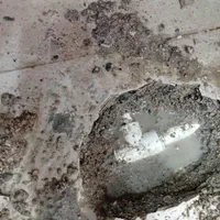 نشت یابی نشت با دستگاه نشی یاب هوش مصنوعی تعمیر|خدمات پیشه و مهارت|تبریز, |دیوار