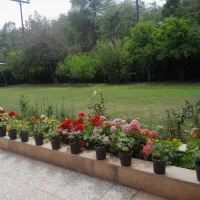 باغبانی