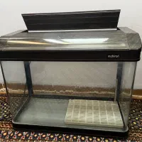اکواریوم