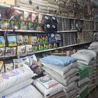 فروشنده|استخدام خدمات فروشگاه و رستوران|شیراز, لب آب|دیوار