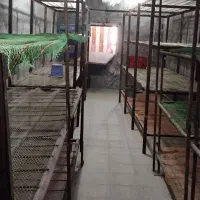 قارچ|ماشین‌آلات صنعتی|تربت‌حیدریه, حاجی یار‎|دیوار