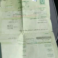 گم شده