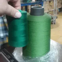 وسط کار خانم و اقا