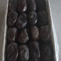 خرمای بم