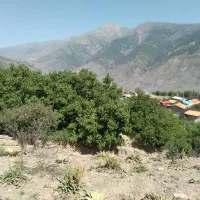 زمین متراژ دلخواه داخل بافت|فروش زمین و ملک کلنگی|گزنک, |دیوار