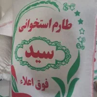 برنج فجر هاشمی گیلان کشت دوم