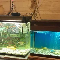 دوتا آکواریوم با کلیه لوازم شیشه خم ۱۰ میل سالم