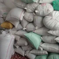 تخمه آفتاب گردان|خوردنی و آشامیدنی|گیلان غرب, |دیوار