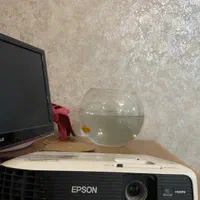 ویدئو پرژکتور مارک Epson بدون استفاده|تلویزیون و پروژکتور|مشهد, احمدآباد|دیوار