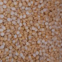 خرید و فروش انواع حبوبات|خوردنی و آشامیدنی|بابا حیدر, |دیوار