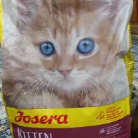غذای گربه...وخاک گربه یوزکربن