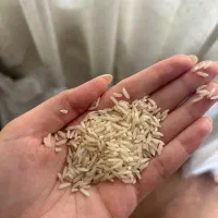 برنج هاشمی ۲۵کیلویی