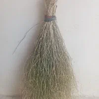 جارو کوهستانی