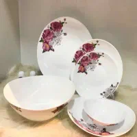 ۲دست  آکروپال پارس اوپال|ظروف سرو و پذیرایی|ری, سرتخت|دیوار