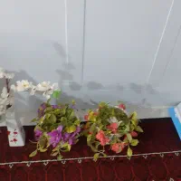 گل وگلدان فروش فوری|صنایع دستی و سایر لوازم تزئینی|تربت جام, معدآباد|دیوار