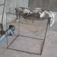 باسلام قفس مرغ وخروس یا کبوتر