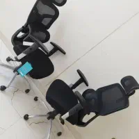 صندلی tory|دفتر کار|اصفهان, فجر|دیوار