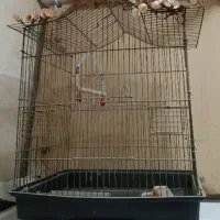 قفس پرنده|لوازم جانبی حیوانات|شهر ری, دیلمان|دیوار