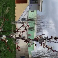 ویلاباغ۱۳۰۰متر سالن ۲۷۰متر مسکونی۱۲۰