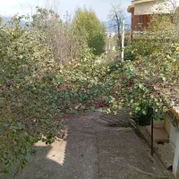 خانه ویلایی۱۷۵متری/گردنه حیران|فروش خانه و ویلا|آستارا, |دیوار