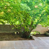 ویلا مهمانسرای مادر بزرگ فارس سپیدان روستای سربست|اجارهٔ کوتاه‌مدت ویلا و باغ|شیراز, ارم|دیوار