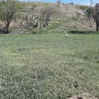 زمین-وشنوه