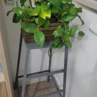 چهارپایه|ابزارآلات|قم, باغ شازده|دیوار