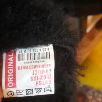 کاپشن بزرگ سایز|لباس|اصفهان, جلالیه|دیوار