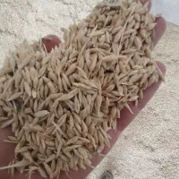 خرید وفروش نهاده به صورت عمده ارسال به سراسر کشور