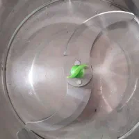 سبزی خرد کن|خردکن، آسیاب، غذاساز|مشهد, رده|دیوار