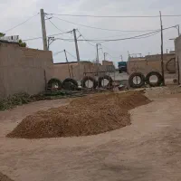 کود گوسفندی البته پشکله خالصه