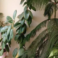 وسایل خانگی