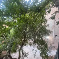 اقامتگاه-بومگردی