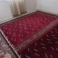 فروش فرش دست بافت ۱۰۰سال|فرش|مینودشت, |دیوار