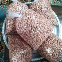 نون برنجی|خوردنی و آشامیدنی|رشت, فلسطین|دیوار