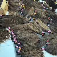 خریدارمیلیونی مو