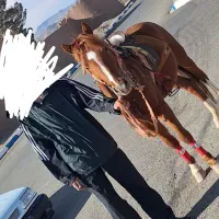 اسب|اسب و تجهیزات اسب‌سواری|مود, |دیوار