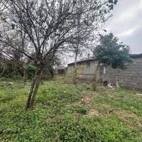 فروش ویلا کلنگی  سند تک برگ|فروش خانه و ویلا|رشت, پسیخان|دیوار