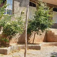 منزل ویلایی روستای مهرگرد|فروش خانه و ویلا|وردشت, |دیوار