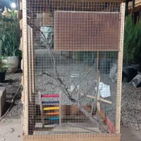 قفس چوبی پرندگان|لوازم جانبی حیوانات|پیشوا, |دیوار