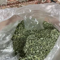 برگ یونجه مرغوب مناسب خرگوش و خوکچه