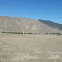 استخدام کارگر