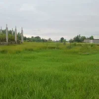 زمین شهری باپروانه ساخت سنگررشت