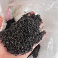 فروش مستقیم چای بهاره از کارخانه|خوردنی و آشامیدنی|رشت, معلم|دیوار