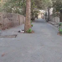 زمین با دستور نقشه مسکونی تهاتر با آپارتمان|فروش زمین و ملک کلنگی|کرج, کلاک پایین|دیوار