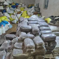 کشمش بیدانه آفتابی عسگری فخری مویز حلوایی