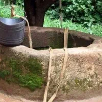 پیکور کاری و کاشی کاری