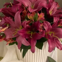 گل فوق‌العاده زیبا